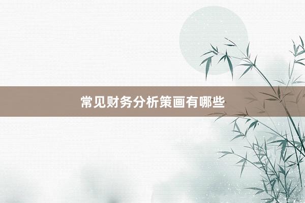 常见财务分析策画有哪些