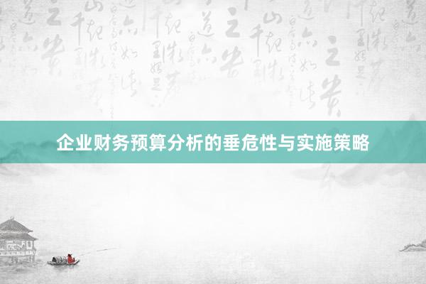 企业财务预算分析的垂危性与实施策略