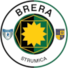 布雷拉斯特鲁米察U19logo